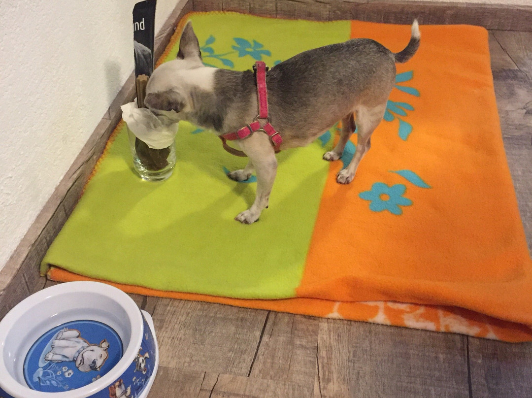 Apart Felsenhof主图