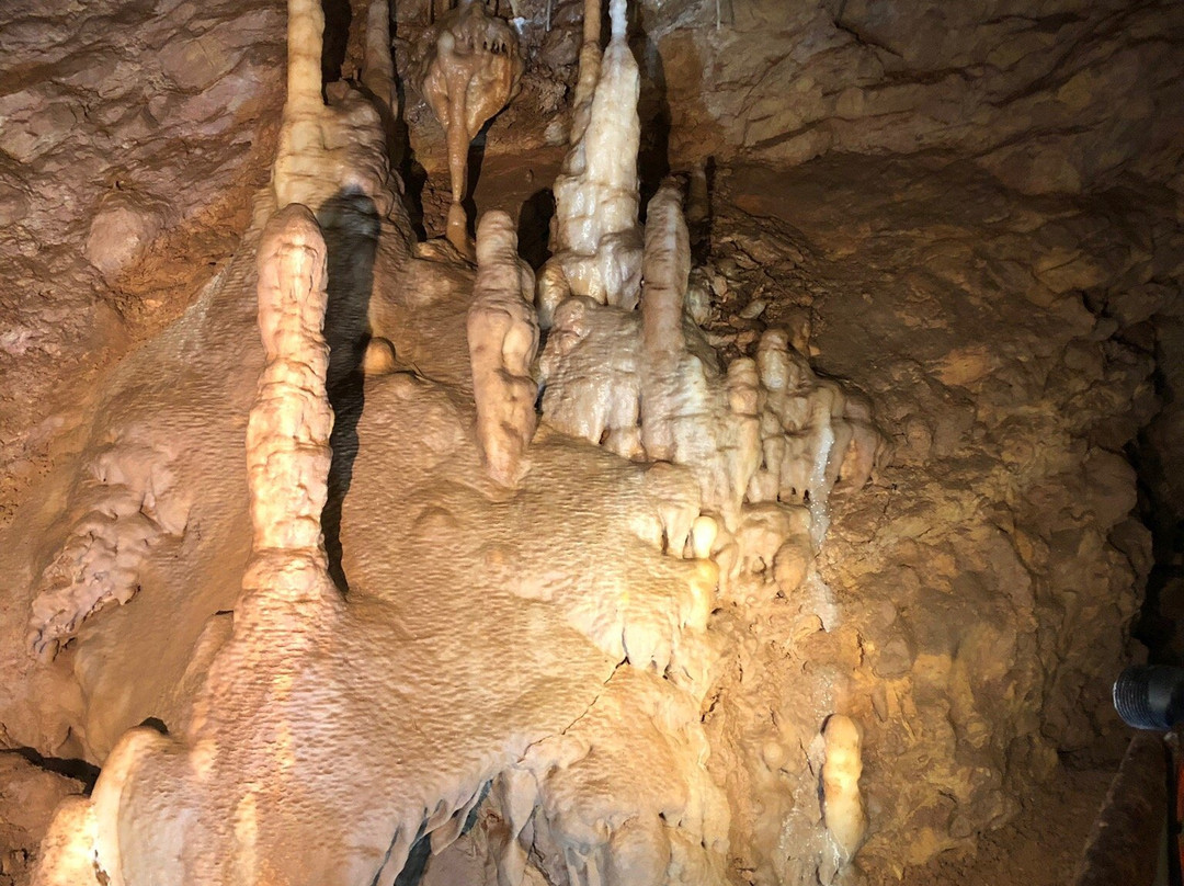 Les Grottes de Blanot景点图片