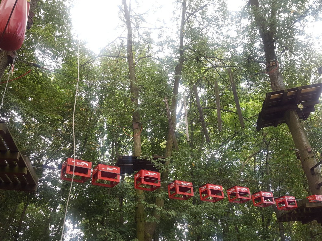 Cascader Rope Course Park景点图片