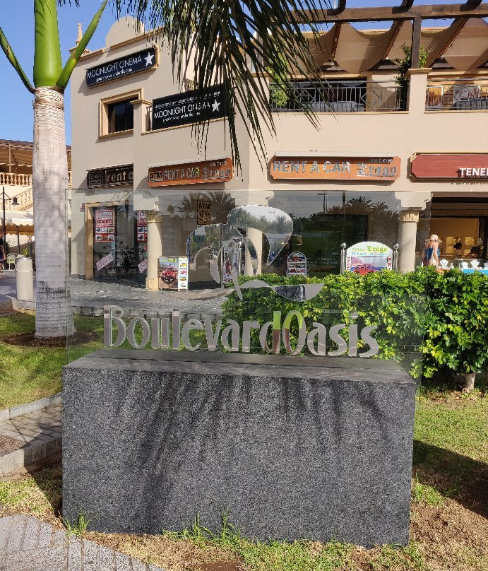 C.C. Boulevard Oasis Beach-马斯帕洛马斯必去景点