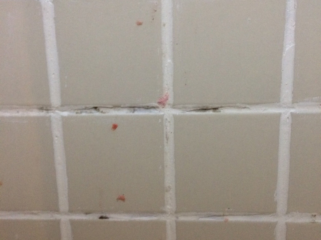 Fênix Hotel Limeira主图