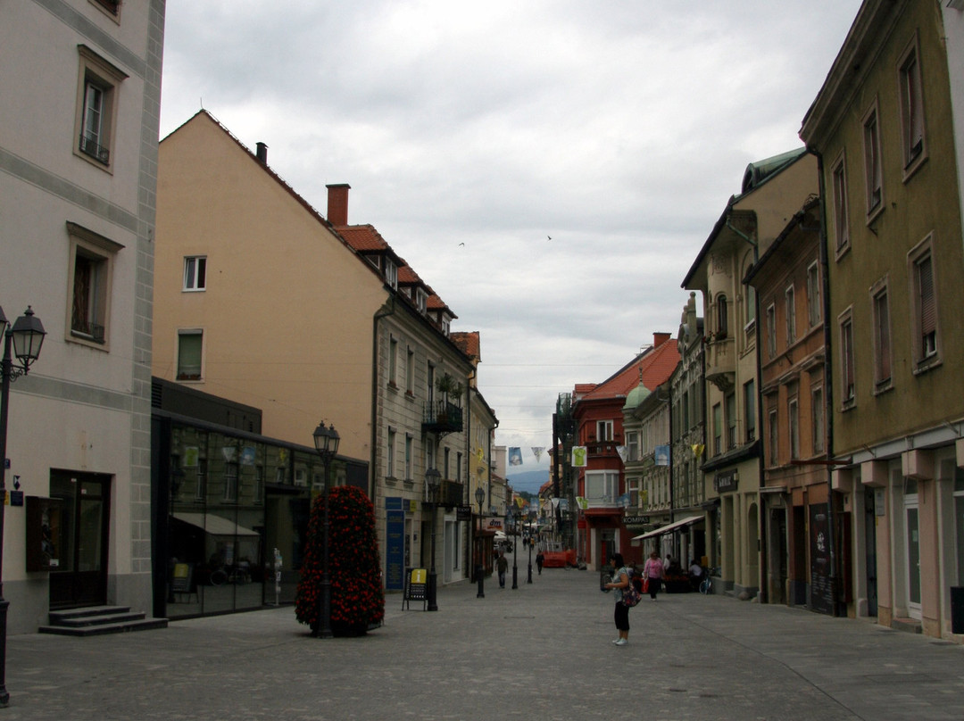 TIC Celje-Celje必去景点