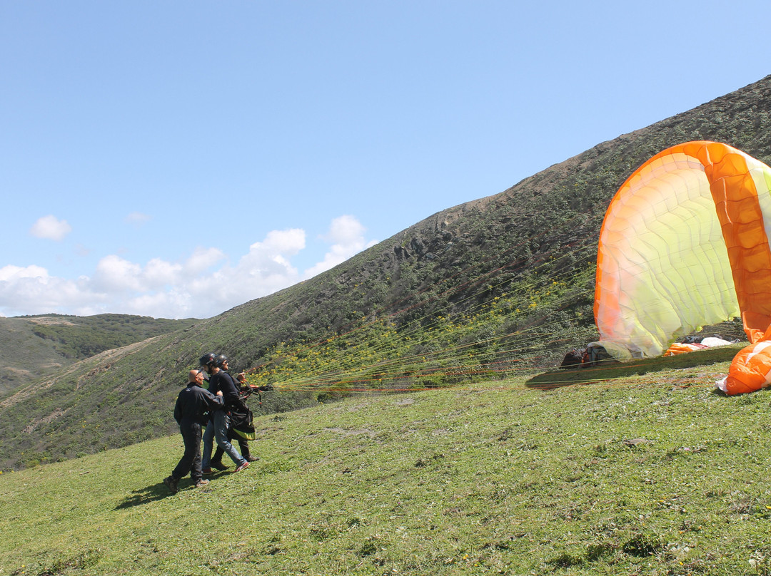 Paragliding with Nelson景点图片