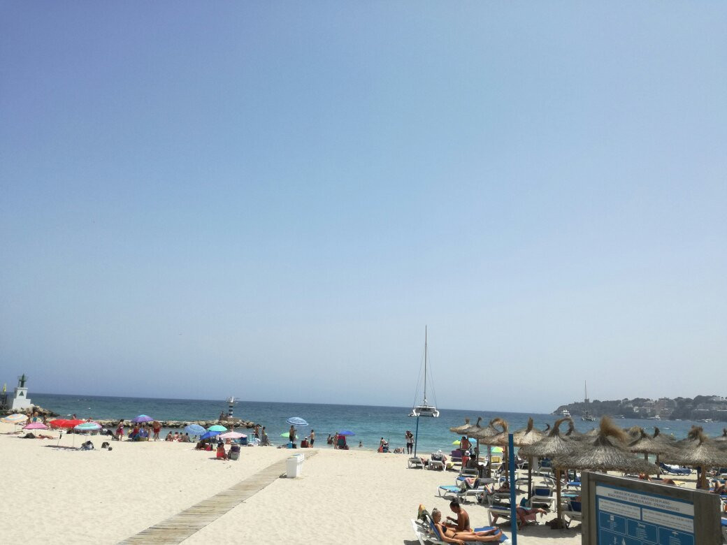 Playa Porto Novo-Palmanova必去景点