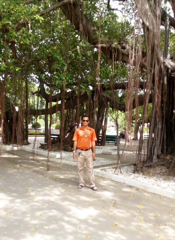 Phra Ram Ratchaniwet景点图片