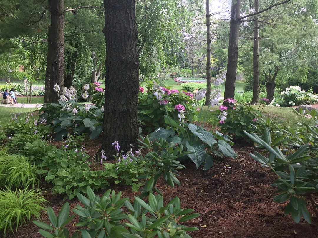 Kariya Park-米西索加必去景点