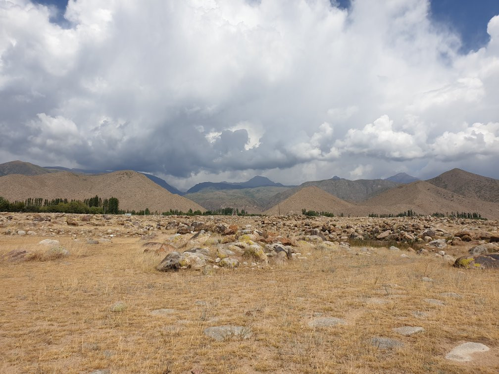 Museum of Petroglyphs景点图片