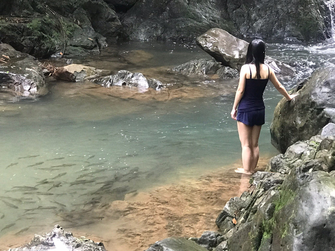 khlong kaeo Waterfall National Park-报莱必去景点