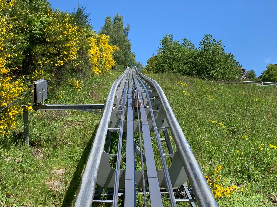 Sommerrodelbahn-Wald-Michelbach必去景点