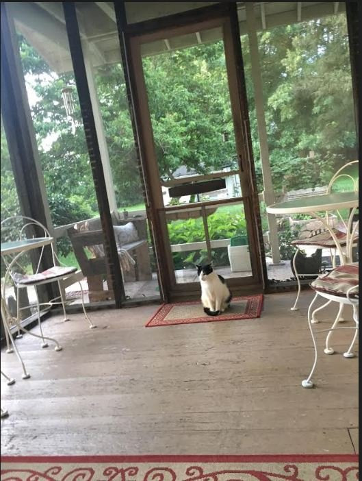 The Pines of Dresden Bed and Breakfast主图