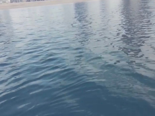 Xtreme Jet Ski-迪拜必去景点