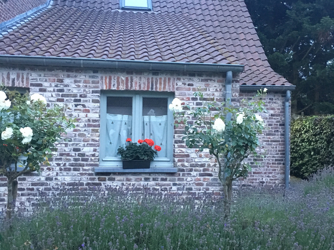 Hoeve Westdijk主图