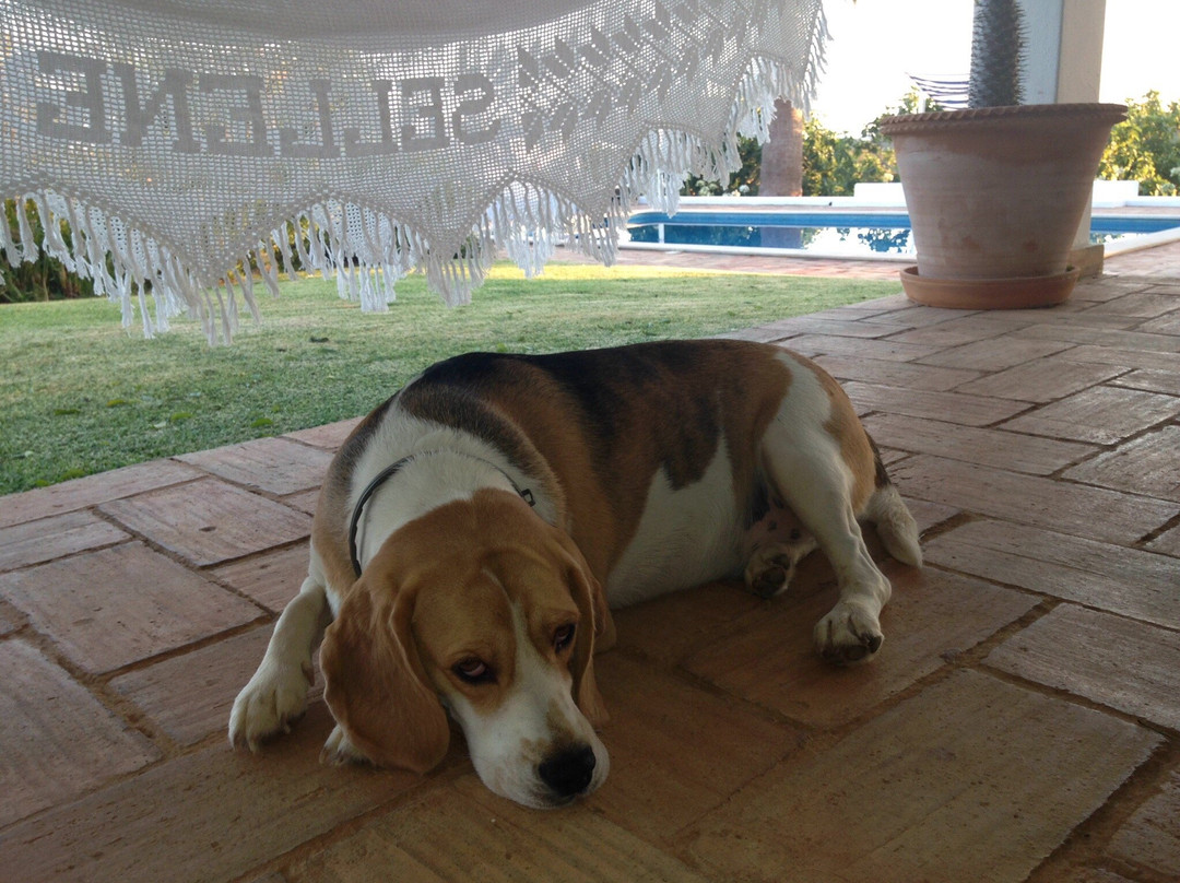 Monte das Cortelhas主图