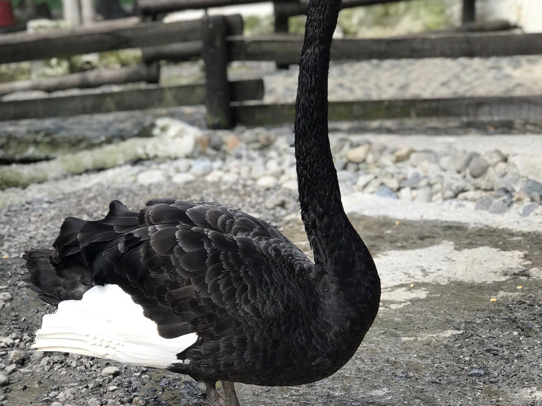 Parque Consota-佩雷拉必去景点