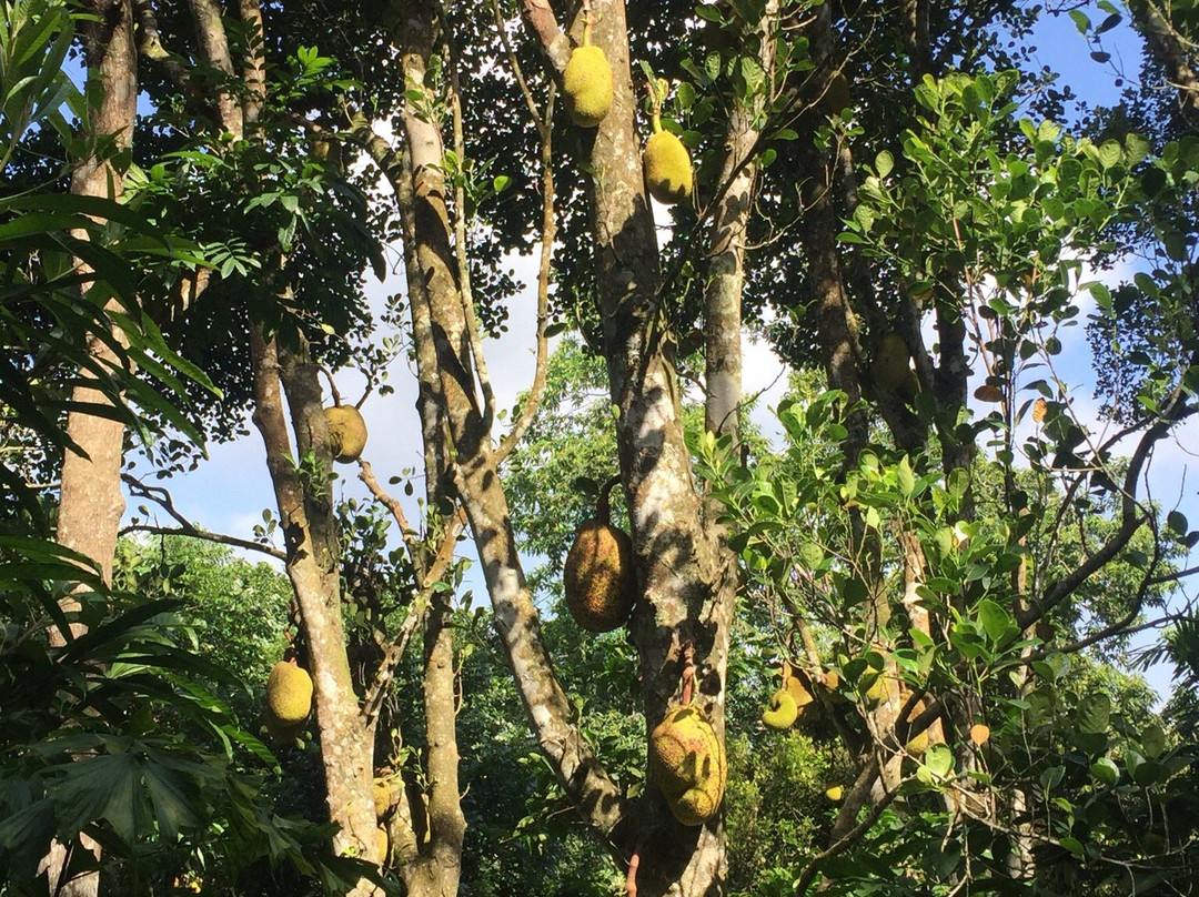 Green View Holiday Resort主图