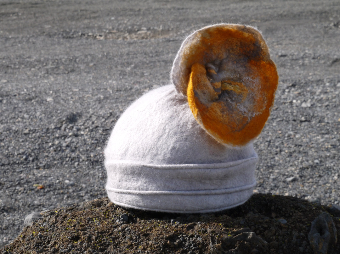 Wool Gallery Vík í Mýrdal景点图片