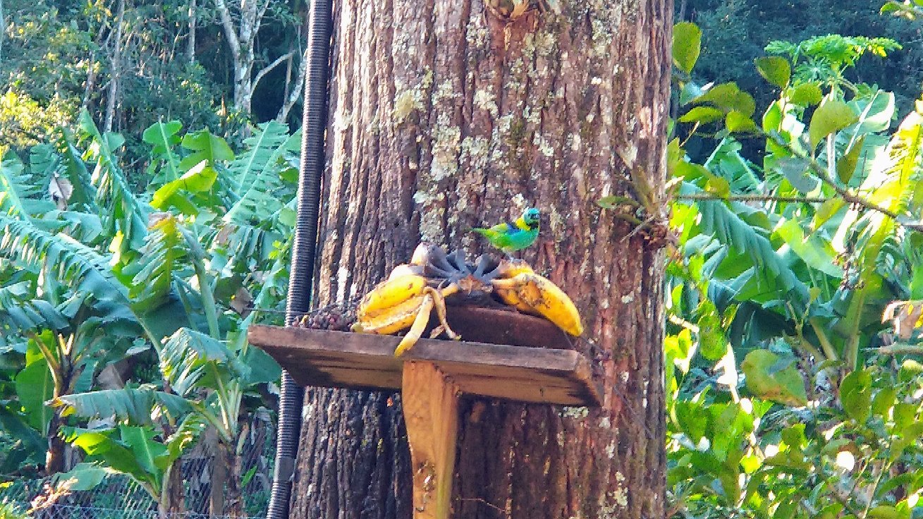 Pousada Vida Artesanal-官方