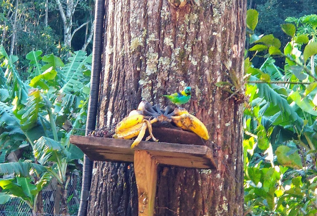 Jacinto Machado酒店住宿-Pousada Vida Artesanal