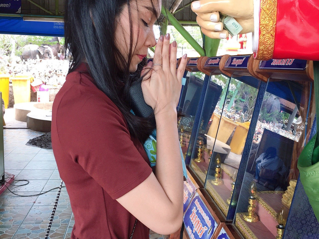 Wat Pa Kham Hua Chang Temple景点图片