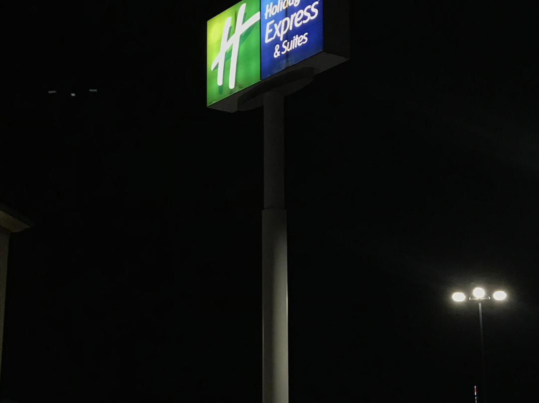 贝尔格莱德智选假日套房酒店主图