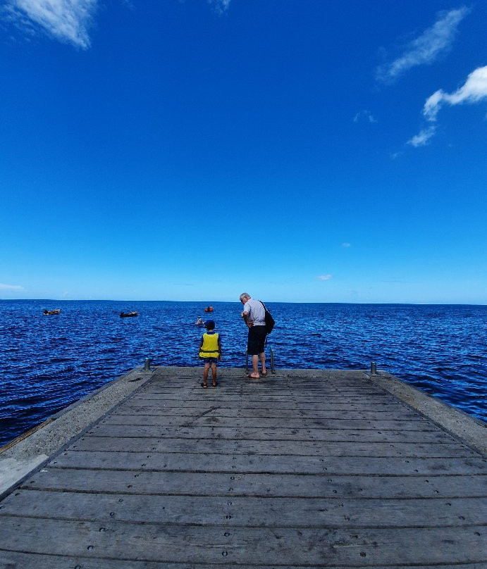 Découverte des Dauphins avec Jean-Guy-Le Precheur必去景点