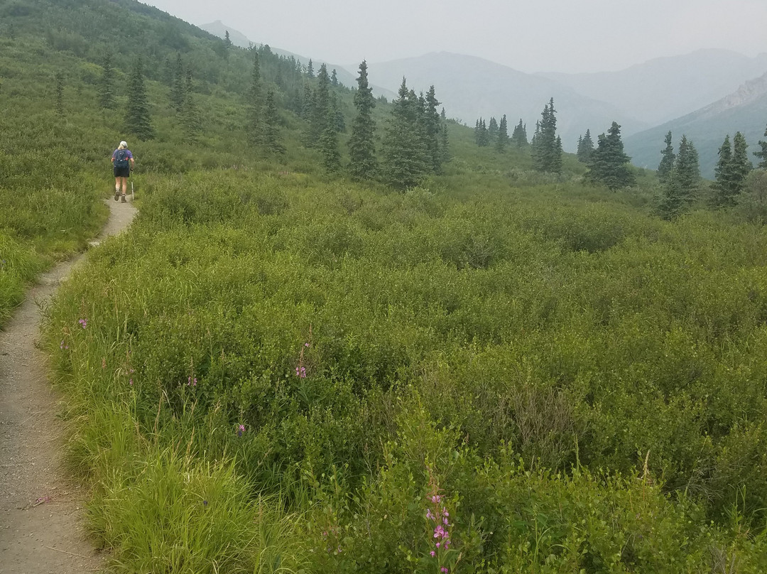 Savage Alpine Trail-德纳利国家公园和自然保护区必去景点