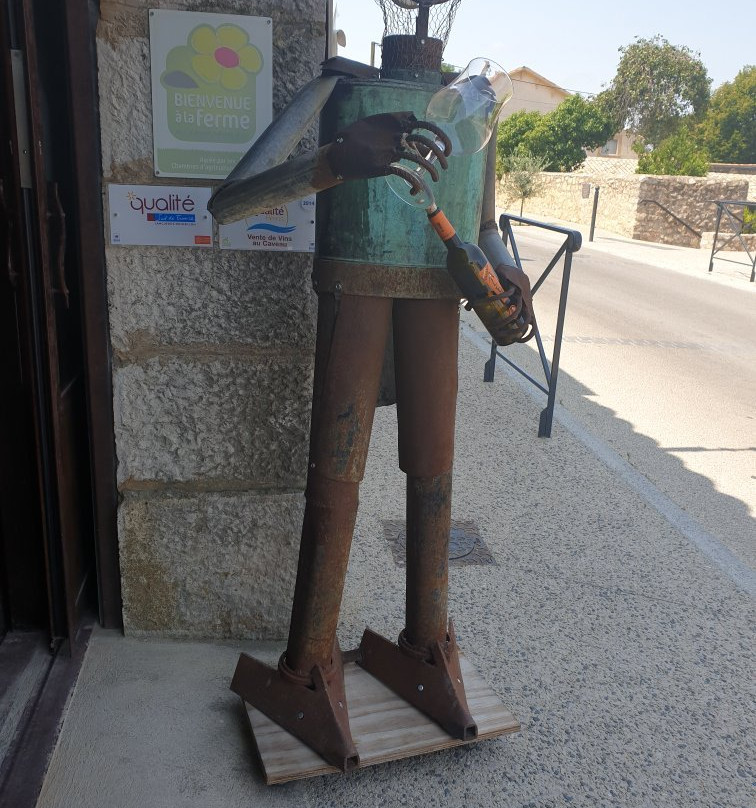 Le Petit Train des Vignes du Domaine Alexandrin景点图片