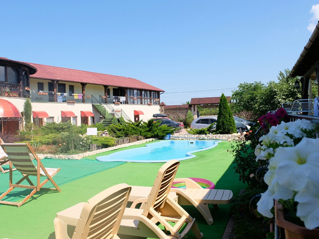 Guest Court Skazka
