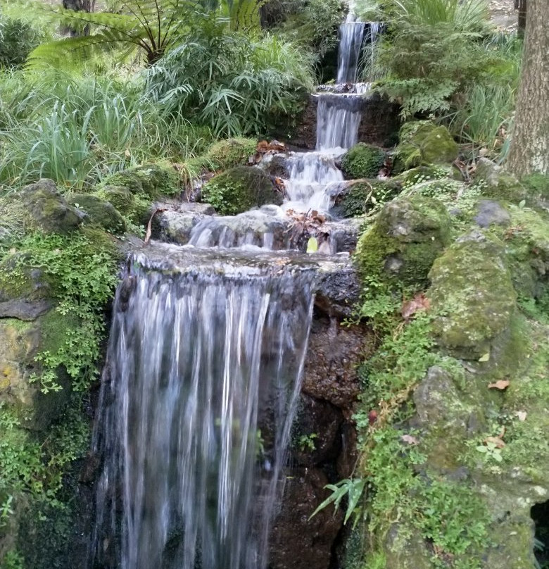 Botanical Gardens-纳皮尔必去景点