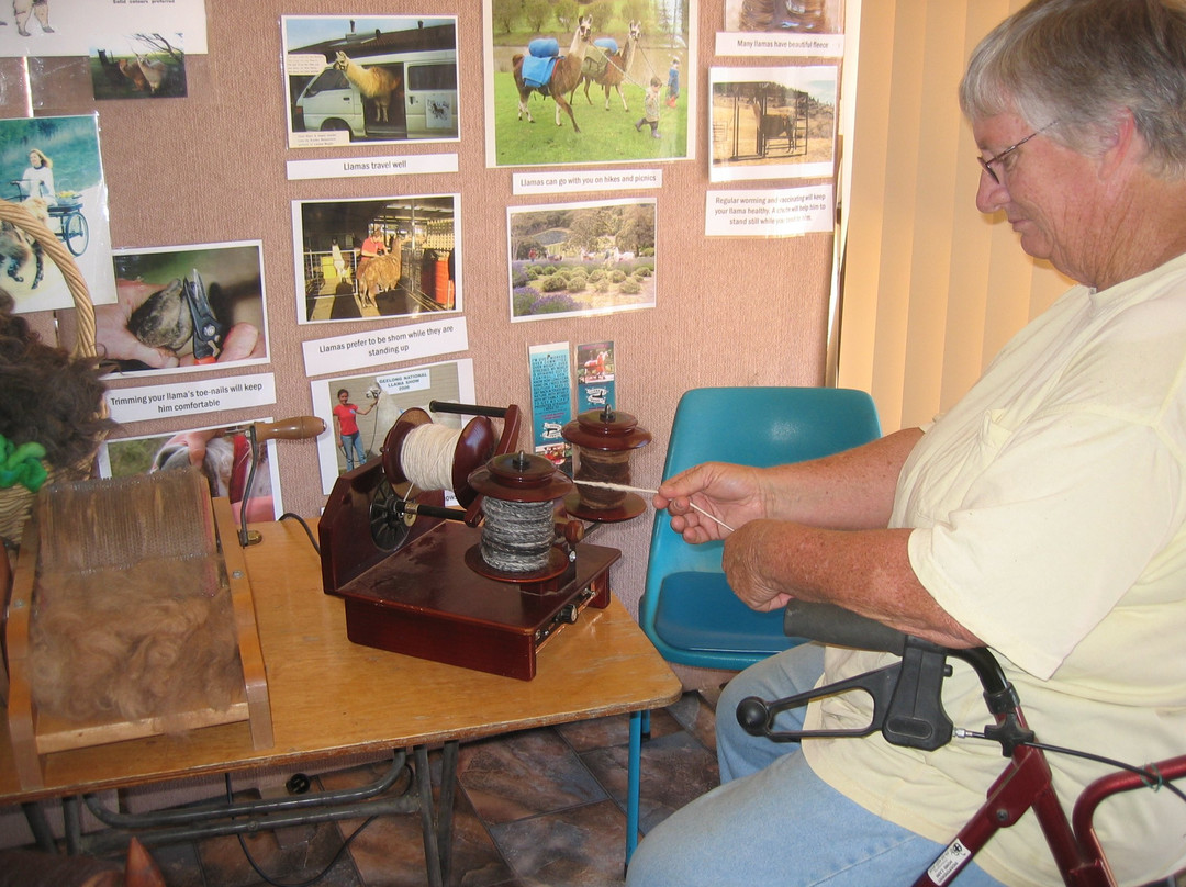 Alpaca Magic-Sutton必去景点