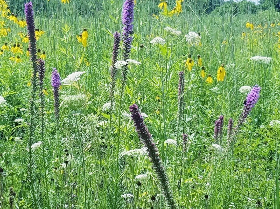 Raven Run Nature Sanctuary-列克星敦必去景点