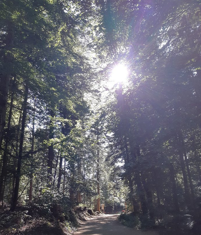 Les Anes d'Alexandre et Sylvain-Aydat必去景点