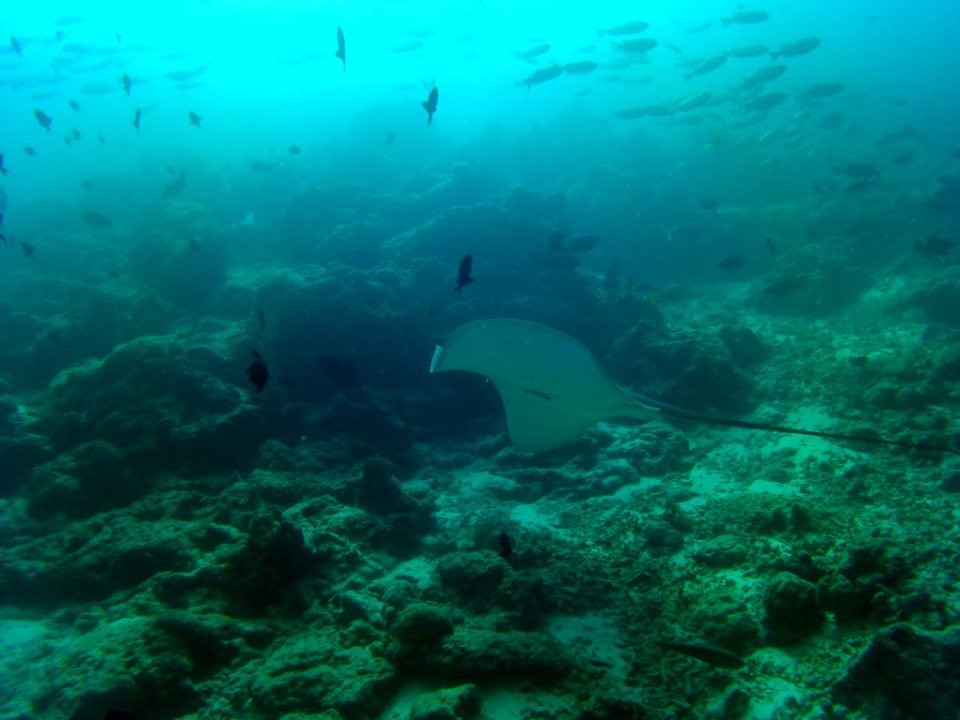 Extreme Maldives Water Sports-满月岛必去景点