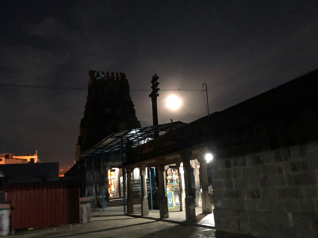 Pandava Thoothar Perumal Temple景点图片