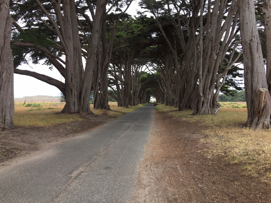 Marconi RCA Wireless Stations-Point Reyes National Seashore必去景点