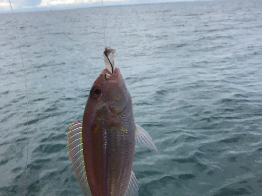 Adventure Adam-高龙必去景点