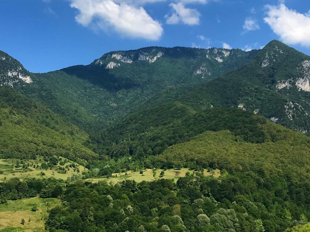 Yenice Ormani-Karabuk必去景点