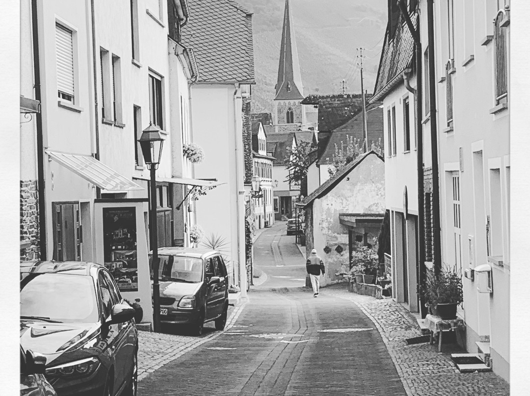 Garni Hotel Moselschild主图