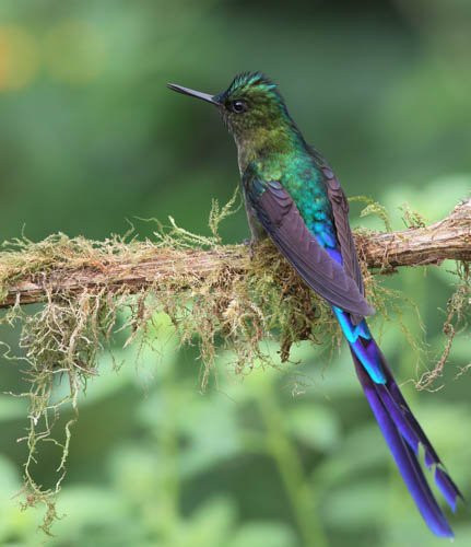 Casa Divina Eco Lodge主图