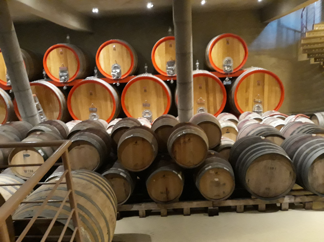 Bodegas Re-卡萨布兰卡必去景点