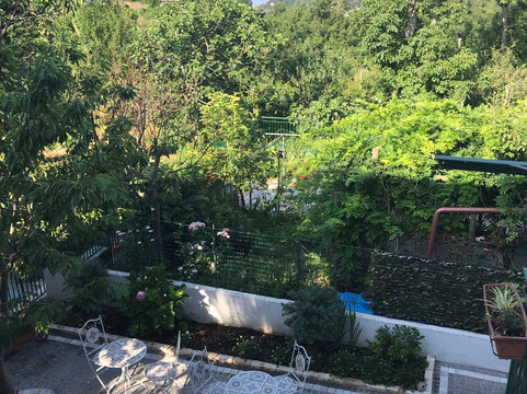 帕腾诺佩民宿主图