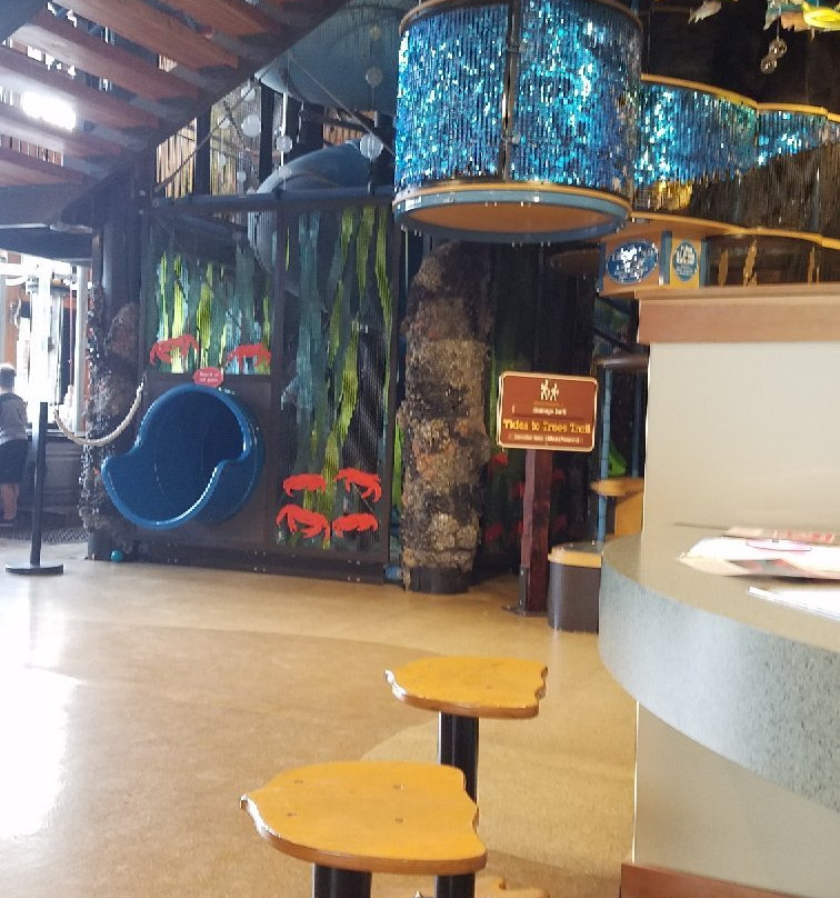 Hands On Children's Museum景点图片