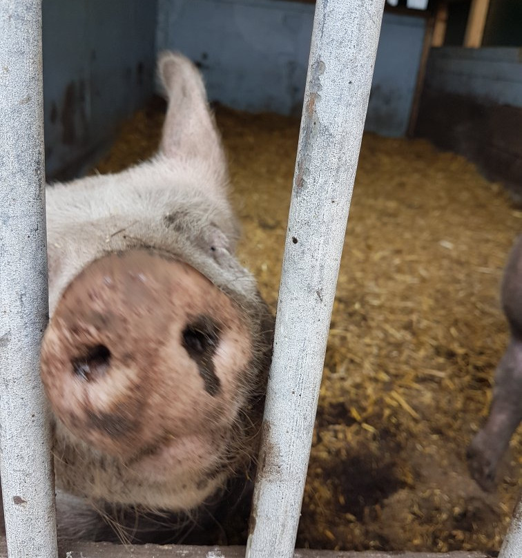 Ferienhof Laurenz主图