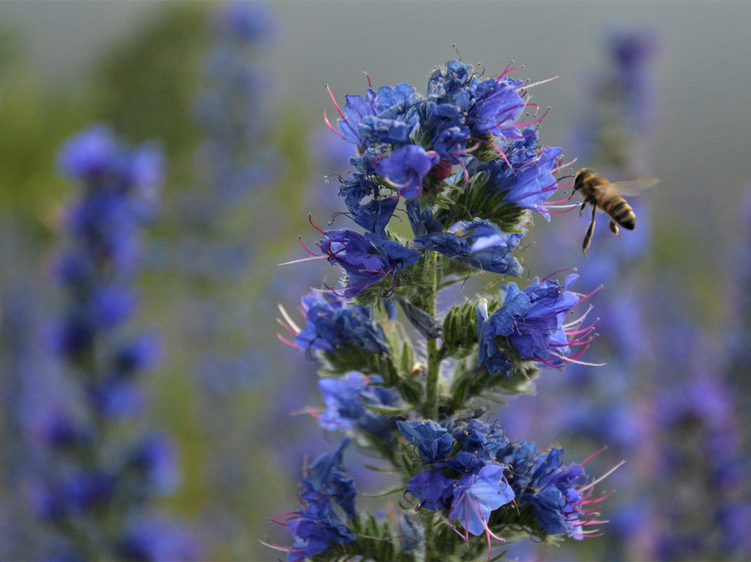 Pakri poolsaare matkarada-Paldiski必去景点