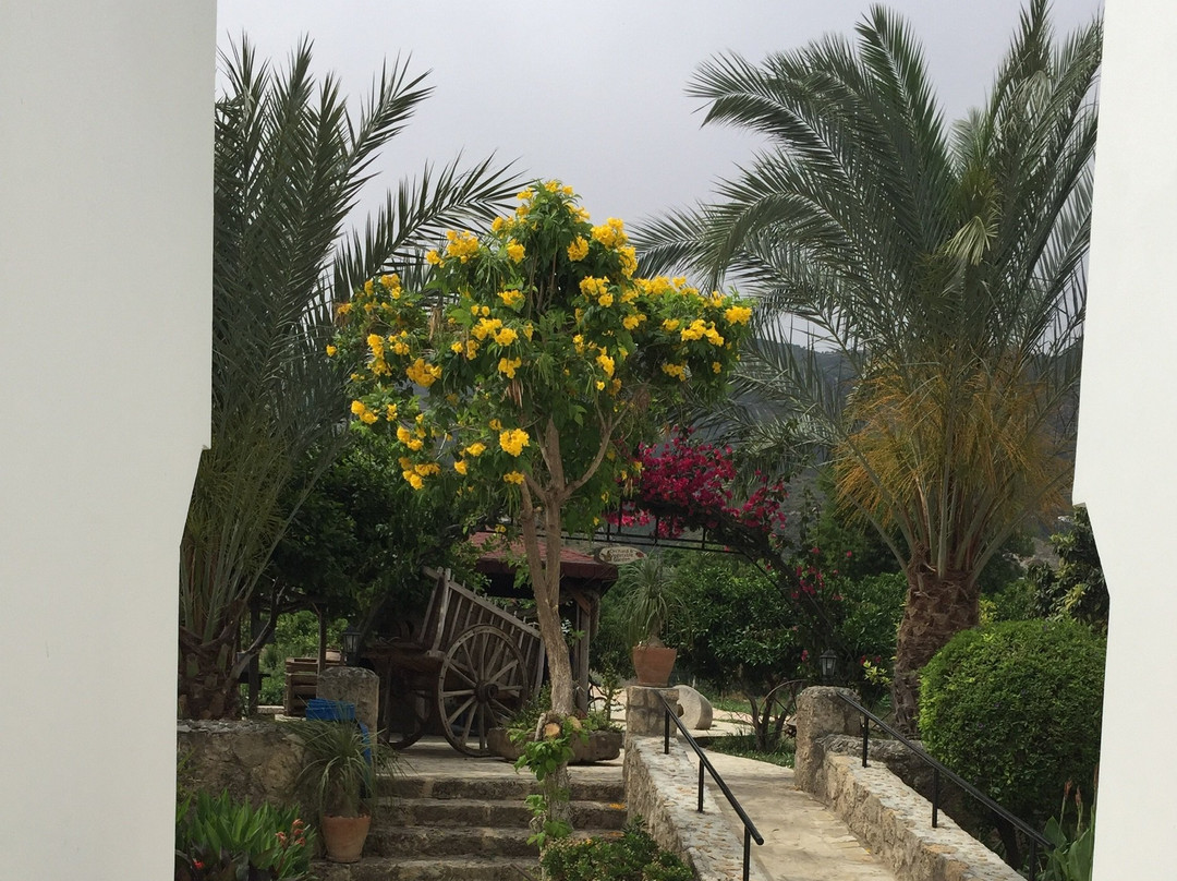 Almond Holiday Village主图