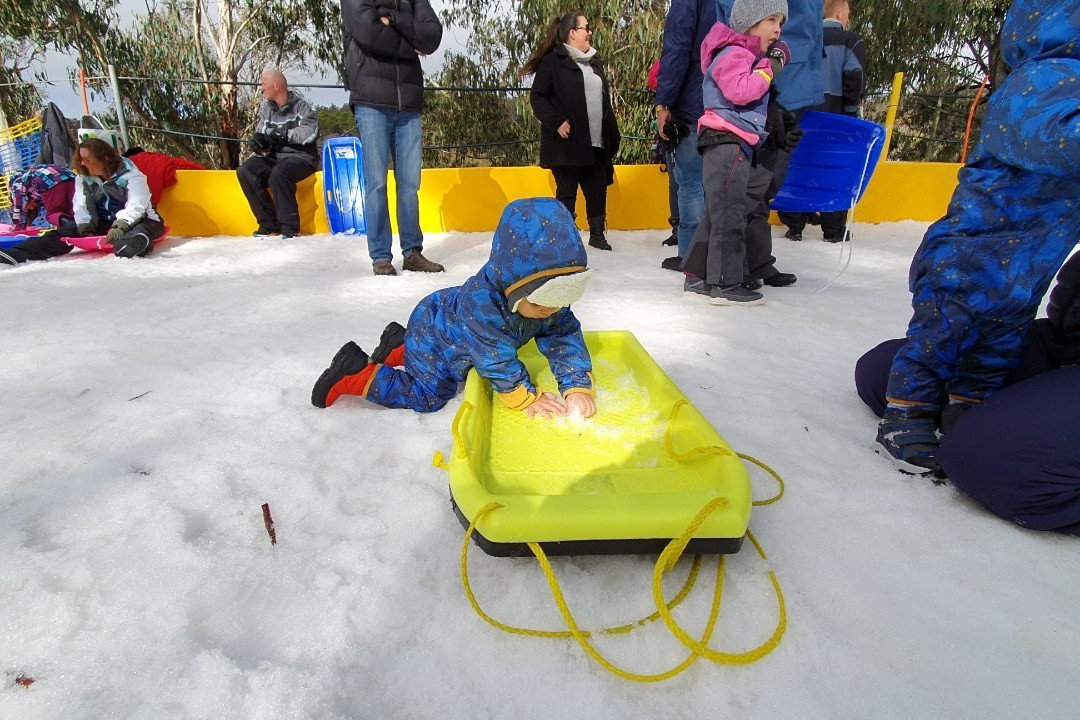 Corin Forest-Paddys River必去景点