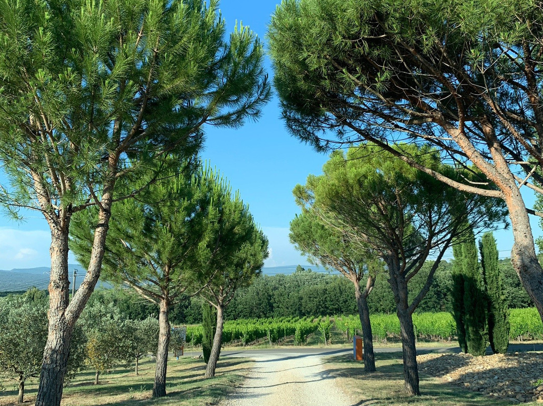 Domaine de Tara景点图片