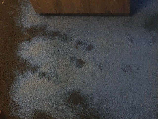 白羊毛酒店主图