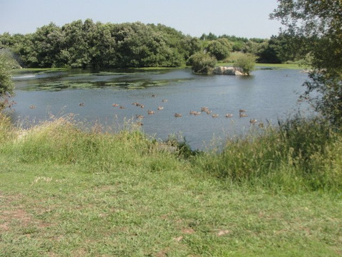 Parque da Cidade-波瓦－迪瓦尔津必去景点