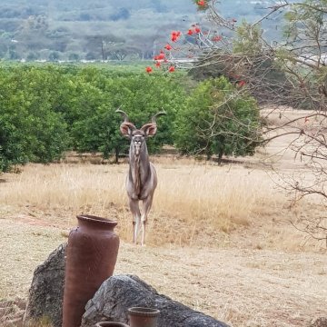 Wokini Guest House-浴室